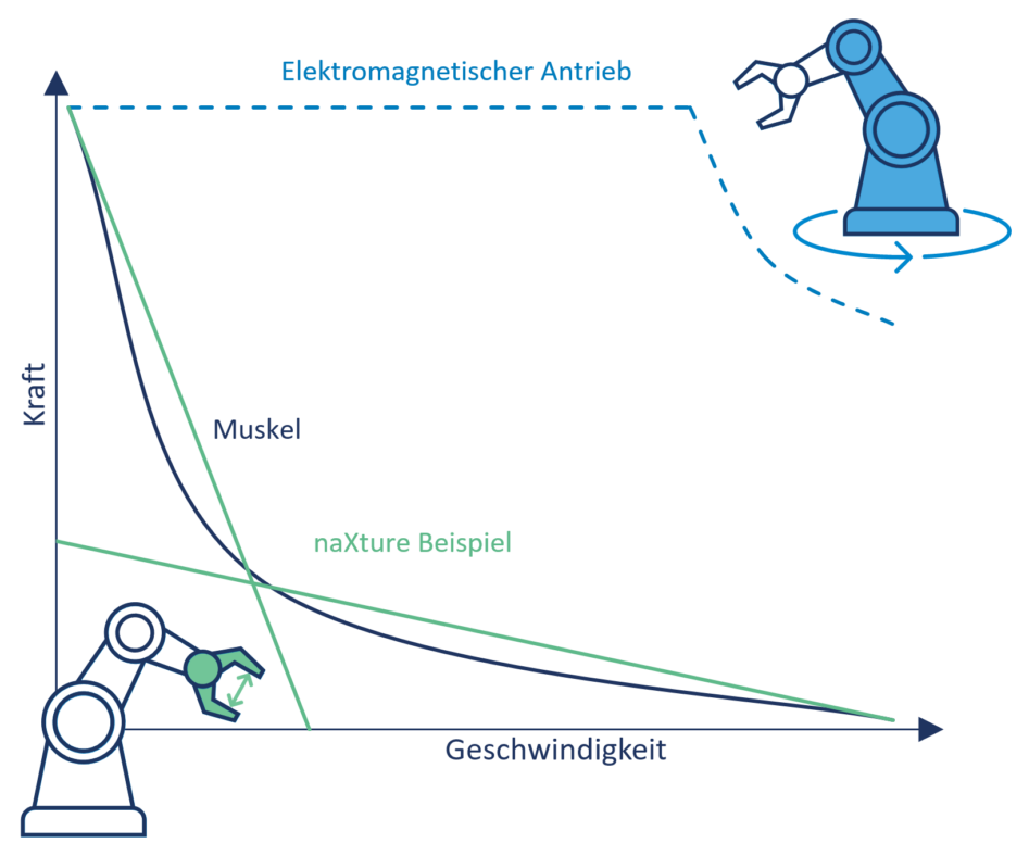 Kennlinie elektromagnetischer Lösungen im Vergleich zum menschlichen Muskel und zur Natur